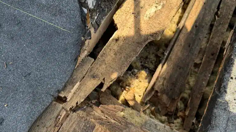 Tage med tagpap i København